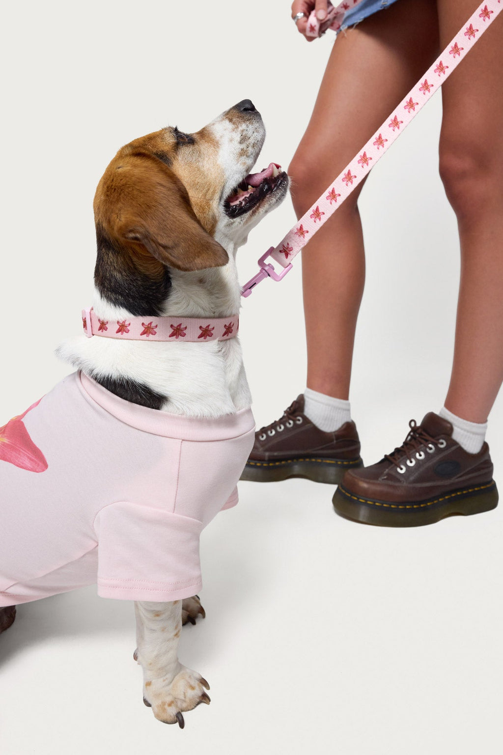 Daylily Pet Leash