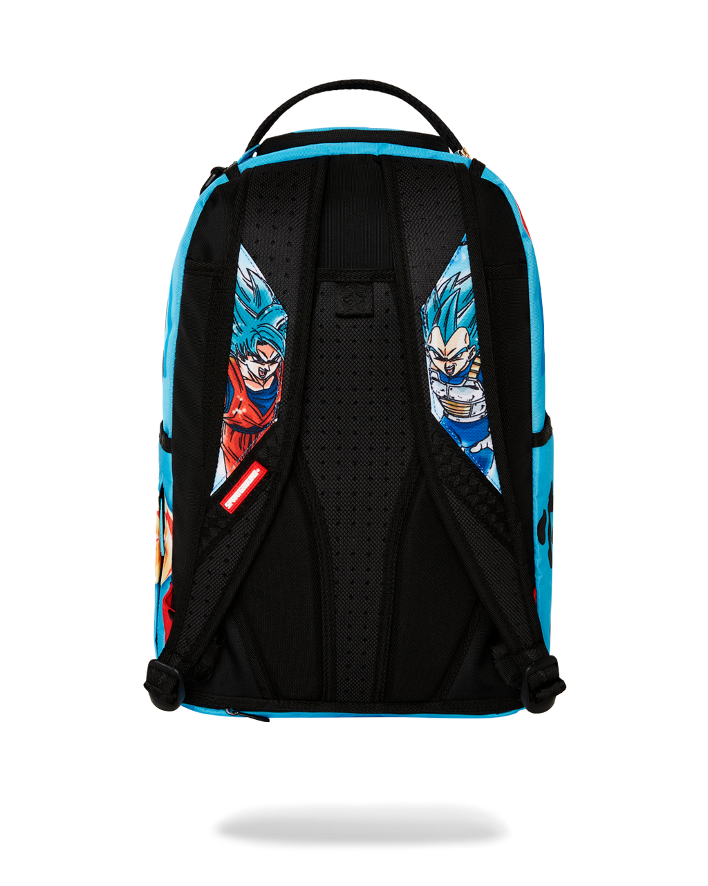 DRAGON BALL Z SUPER SAIYAN BLUE GOKU AND VEGETA
